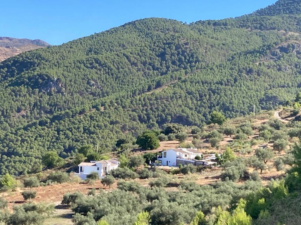 Apartamento La Fuente Alcaucín Extérieur photo